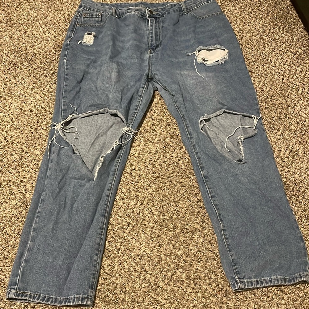 SHEIN Ripped Pants